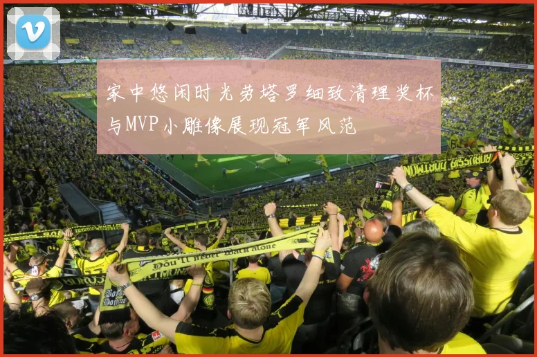 家中悠闲时光劳塔罗细致清理奖杯与MVP小雕像展现冠军风范